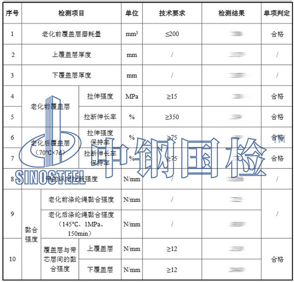 皮带检测项目结果